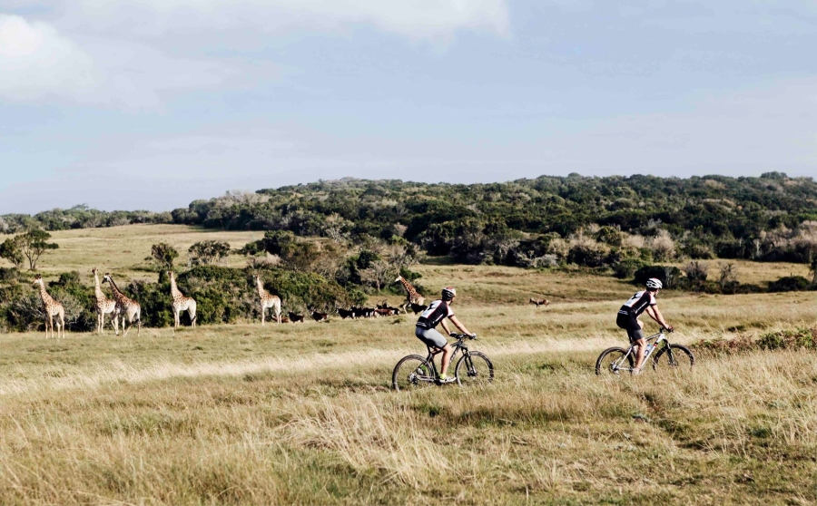 Commercial Property for Sale in Royalston Residential Estate and Wildlife Reserve Eastern Cape